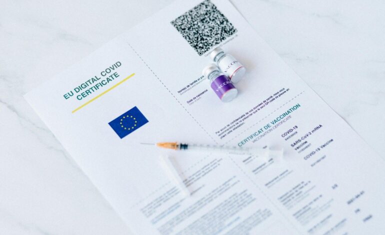 Temporary ID Certificate: A Complete Guide for Urgent Identity Proof